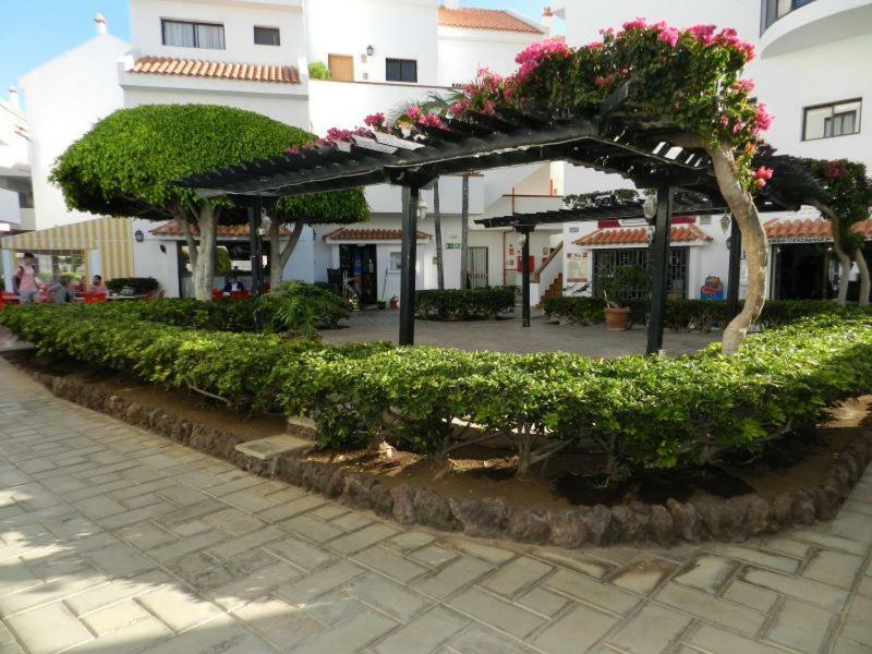 Apartment Cristian Sur Los Cristianos  Exterior photo
